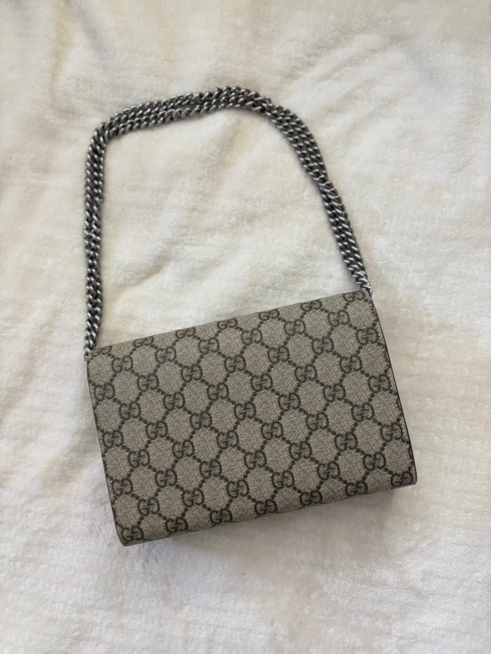 Gucci Beige GG Supreme Dionysus Small Shoulder Bag with Silver Chain - Picture 5 of 12